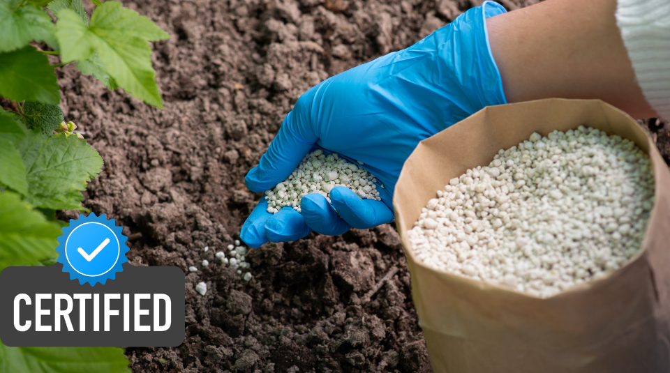 The Role of Certified Fertilizers in Modern Indian Agriculture