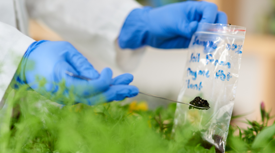 Understanding NPK and Micronutrient Balancing for Crop Health